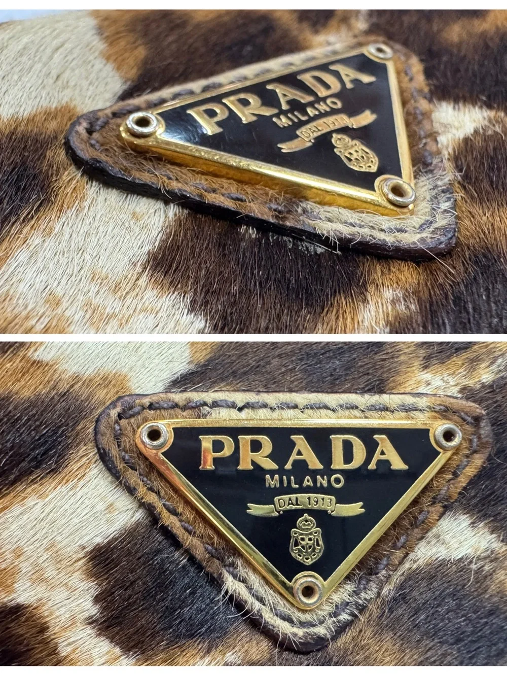 Prada introducing luxurious
